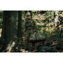 Плитоноска Mil-Tec Plate Carrier Gen. 2 Olive